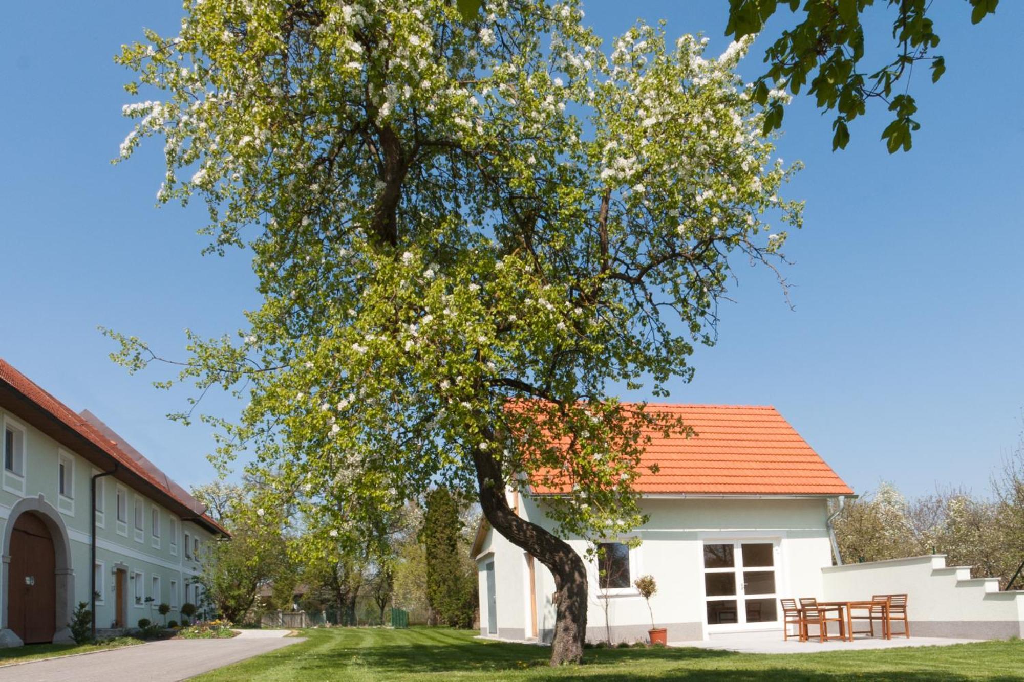 Landhaus Essl Dietach ภายนอก รูปภาพ